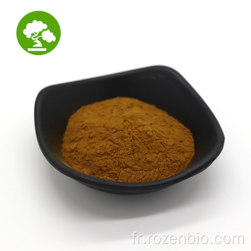 Extrait de maca noire de poudre naturelle biologique en gros